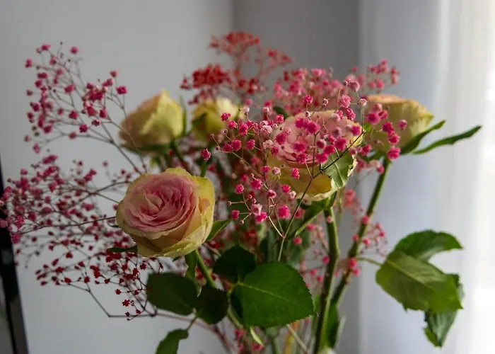 Sunset A23 Przy Plazy Pobierowo